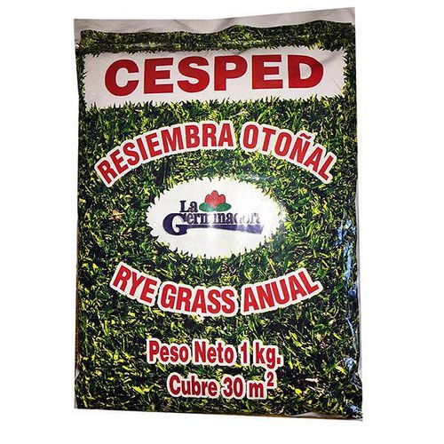 Semillas De Césped Resiembra Otoñal 1Kg La Germinadora