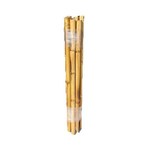 Tutor Caña Quemada La Cioppa 60 Cm Macetas La Cioppa