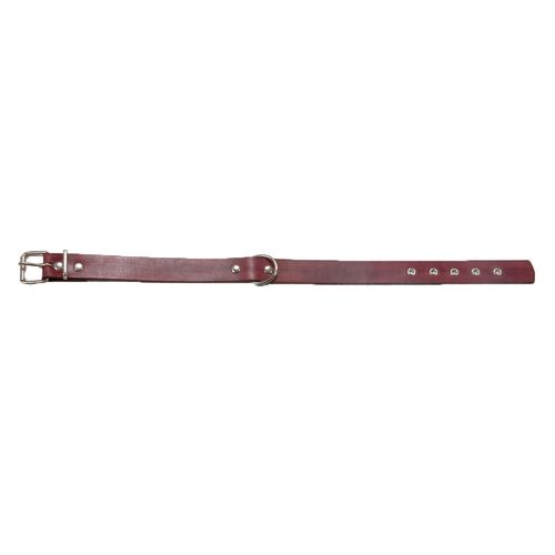 Collar Para Perros Con Hebilla 65 Cm Liso Cec