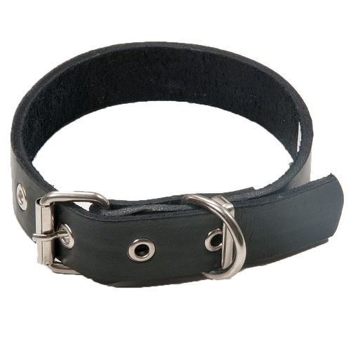 Collar Para Perros Con Hebilla 45 Cm Liso Cec