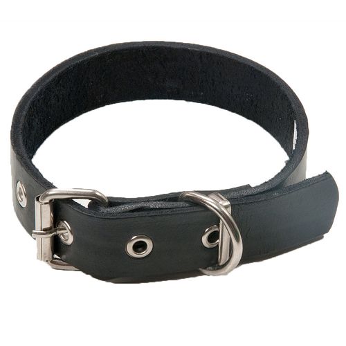 Collar Para Perros CEC Con Hebilla 45 Cm Liso