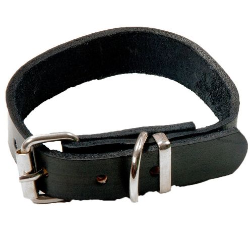 Collar Para Perros CEC Con Hebilla 35Cm Liso