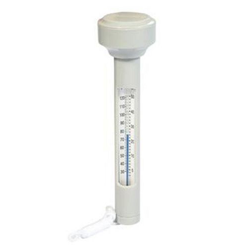 Termometro Flotante Para Piscina Bestway