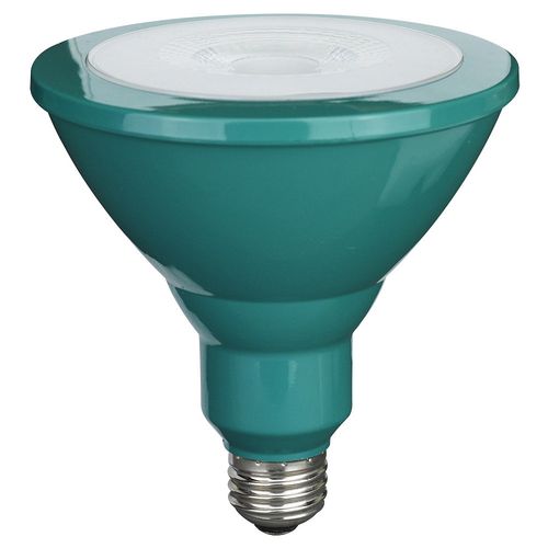Led Par38 E27 8W Verde Sica