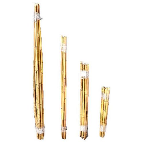 Tutor Caña Quemada La Cioppa 200 Cm X 1 U La Cioppa
