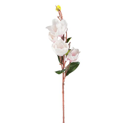 Vara De Magnolia Charming Flowers