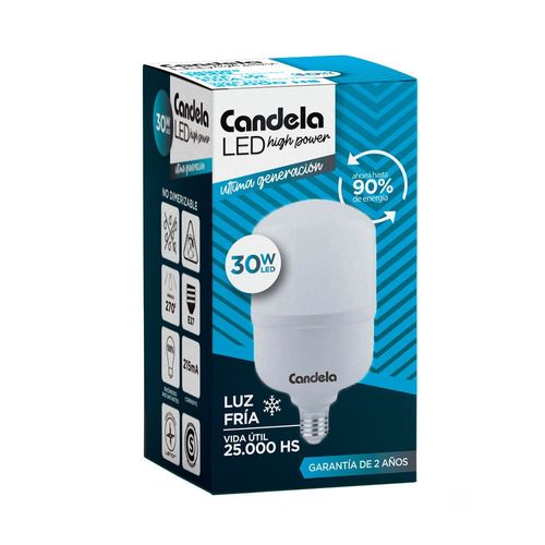 Led Bulbo High Pw T100 30 W Fría Candela