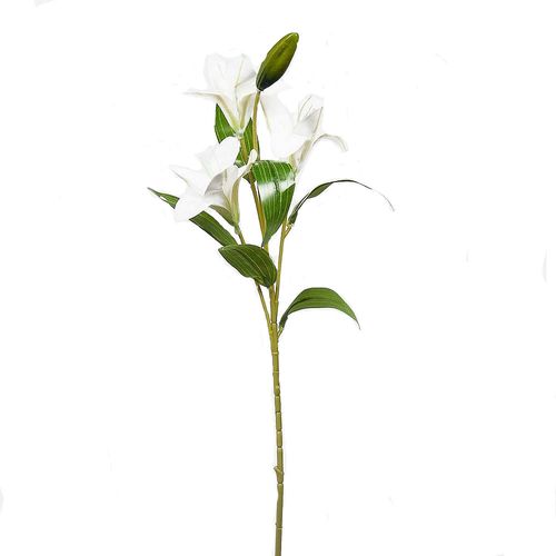 Vara De Azucena Chica Charming Flowers