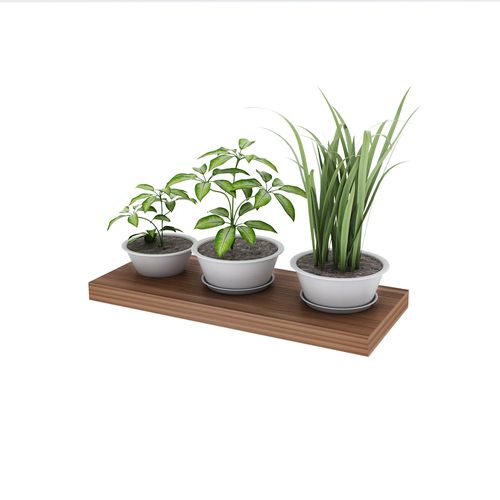 Estante Flotante Paraiso 60X4X25Cm Centro Estant
