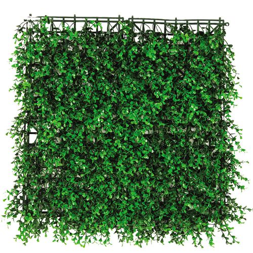 Muro De Hojas Buxus Claro Verde 50X50 Cm Roots