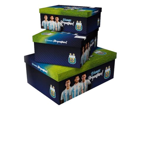Caja Carton Afa Chica 31X22X13Cm