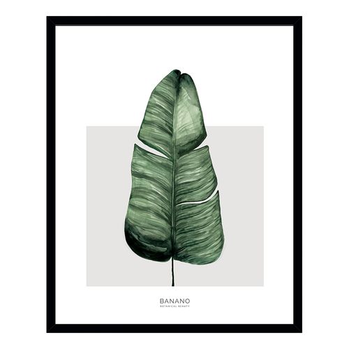 Cuadro Deco Línea Monstera 40X50 Cm Tierra Nativa