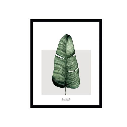 Cuadro Deco Línea Monstera 30X40 Cm Tierra Nativa