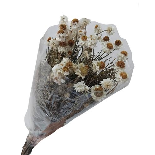 Ramo De Flores Secas Guadalupe Liguen
