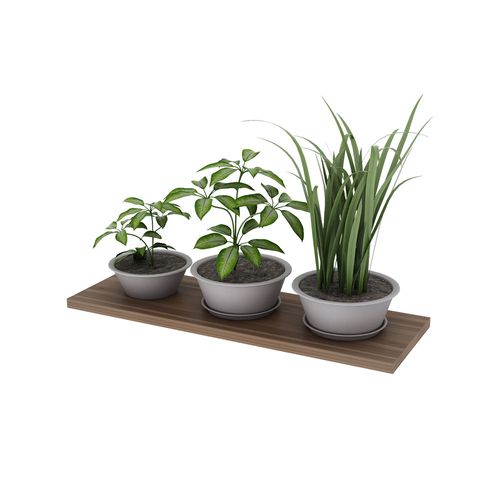 Estante Flotante Slim Paraiso 60 X20Cm Centro Estant
