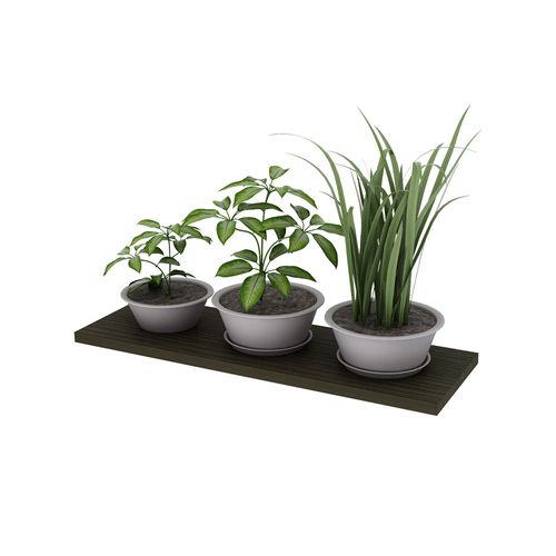 Estante Flotante Slim Wengue 60X1,5X20Cm Centro Estant