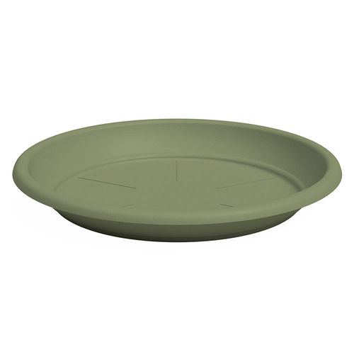 Plato Plástico Capri Eucaliptus 15 Cm Outzen