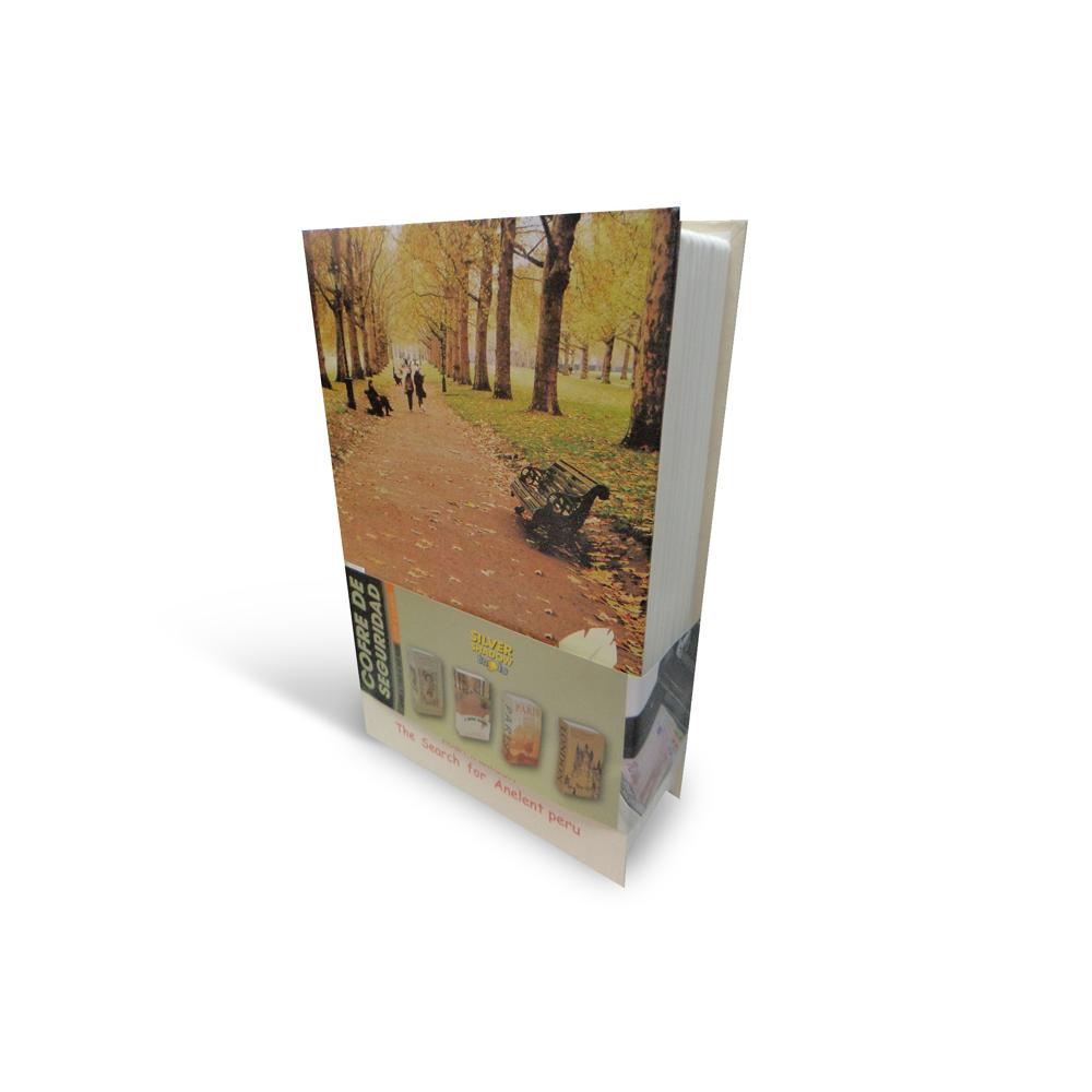 Cofre Portavalores 240x155x55 Mm Con Llave Silver Shadow