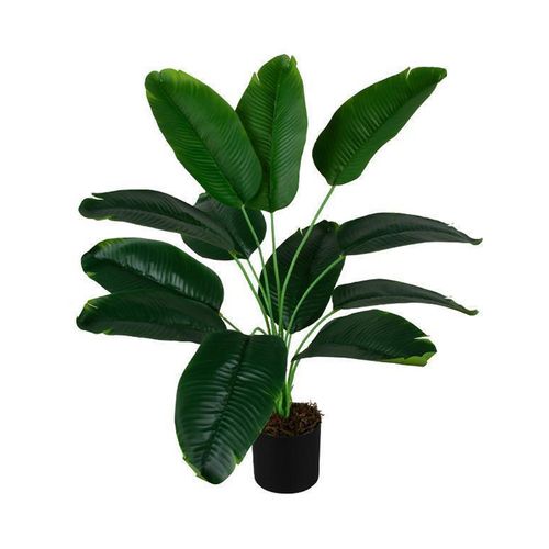 Planta Artifical Sterlizia 55 Cm Dansk