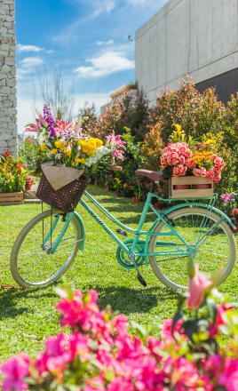 Ideas & inspiración | Bicicleta | EASY